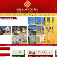 Dena Tour and Travel